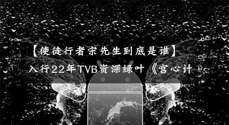 【使徒行者宋先生到底是谁】入行22年TVB资深绿叶《宫心计2深宫计》中计谋难逃厄运