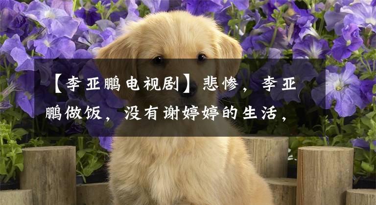 【李亚鹏电视剧】悲惨，李亚鹏做饭，没有谢婷婷的生活，却放弃谢婷婷的‘病’？