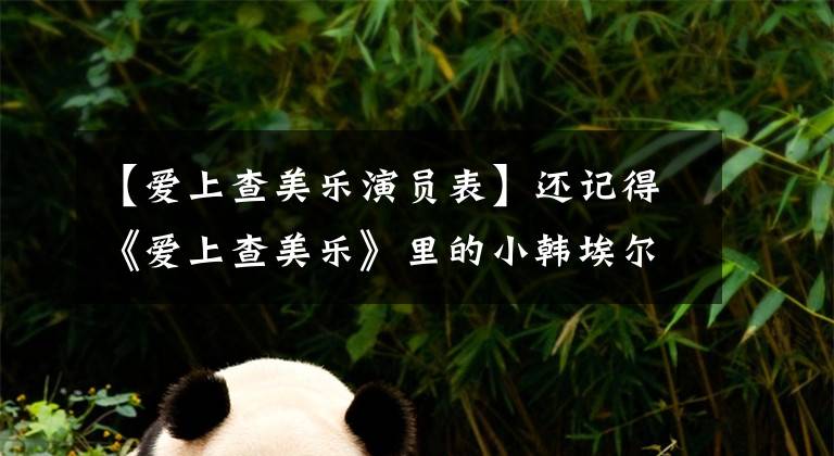 【爱上查美乐演员表】还记得《爱上查美乐》里的小韩埃尔吗？妹妹人气更高吗？