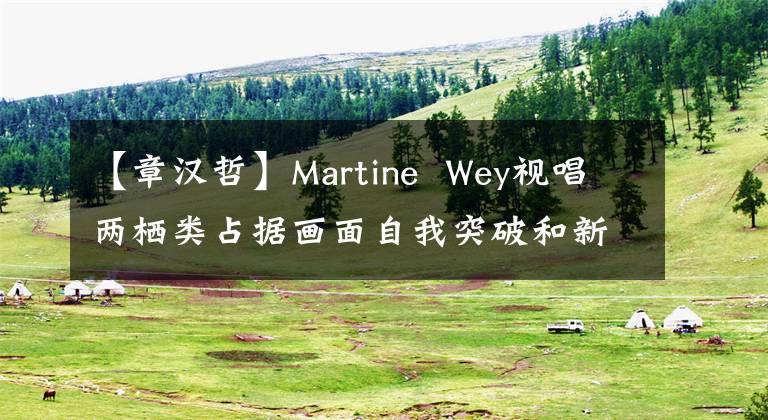 【章汉哲】Martine  Wey视唱两栖类占据画面自我突破和新音乐。