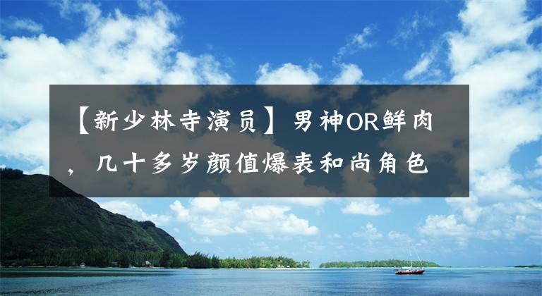 【新少林寺演员】男神OR鲜肉，几十多岁颜值爆表和尚角色