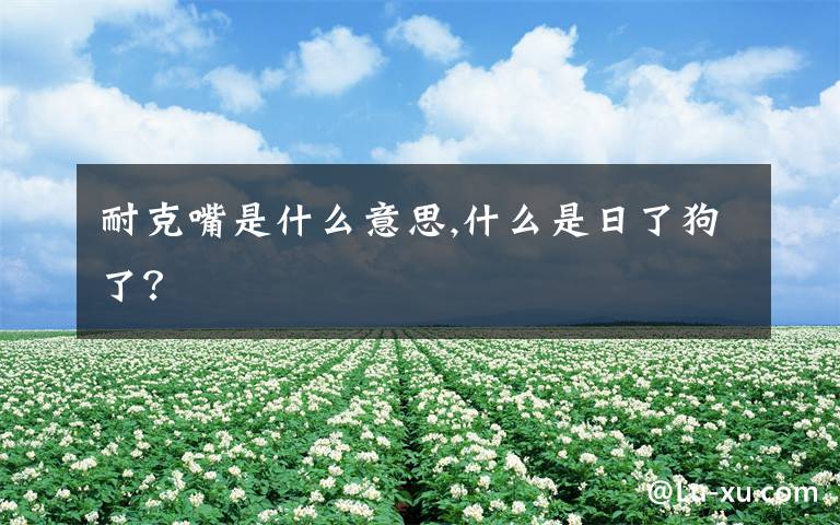 耐克嘴是什么意思,什么是日了狗了？