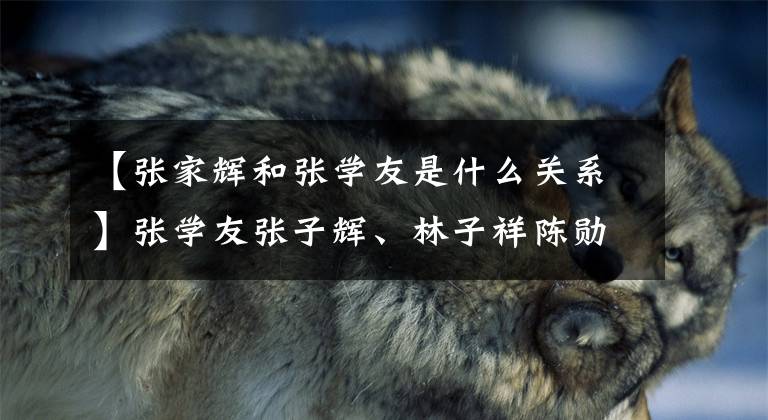 【张家辉和张学友是什么关系】张学友张子辉、林子祥陈勋奇、黎明林国斌，原来是同父异母的兄弟