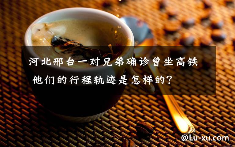 河北邢台一对兄弟确诊曾坐高铁 他们的行程轨迹是怎样的？
