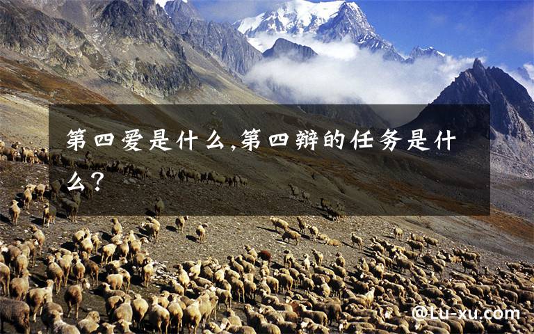 第四爱是什么,第四辩的任务是什么？