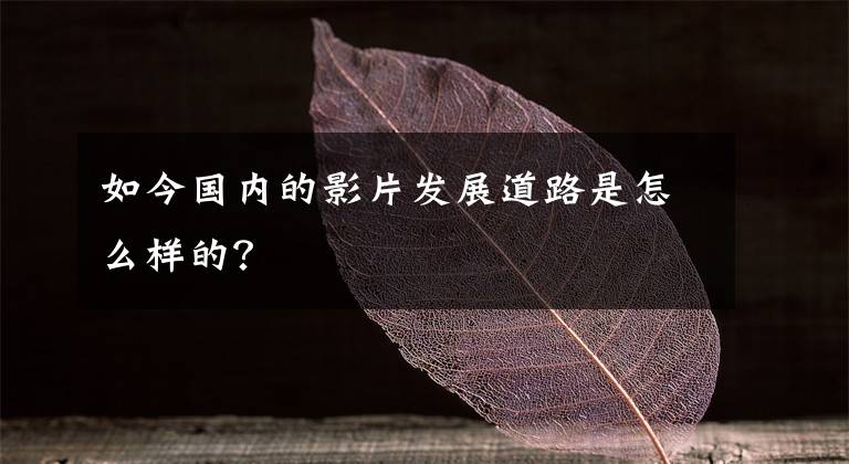 如今国内的影片发展道路是怎么样的？