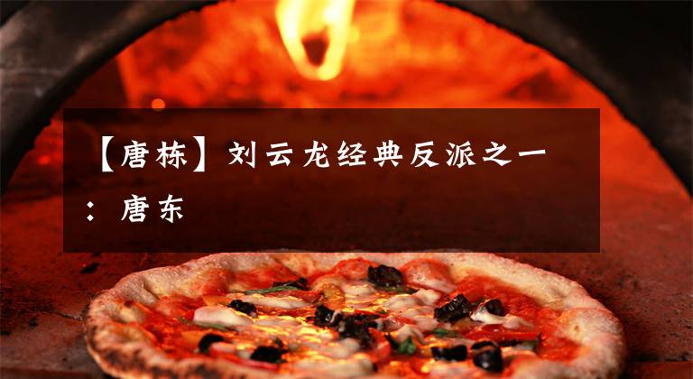 【唐栋】刘云龙经典反派之一：唐东