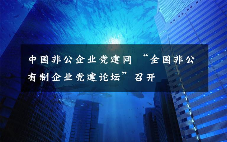 中国非公企业党建网 “全国非公有制企业党建论坛”召开