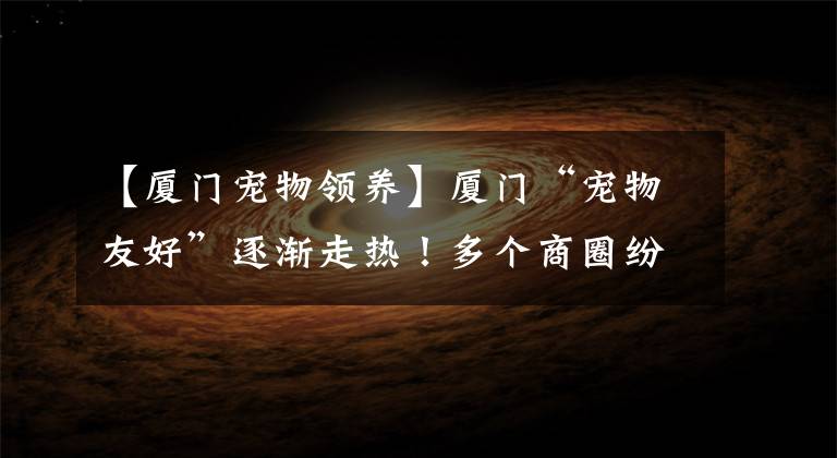 【厦门宠物领养】厦门“宠物友好”逐渐走热！多个商圈纷纷打造宠物“社交”空间