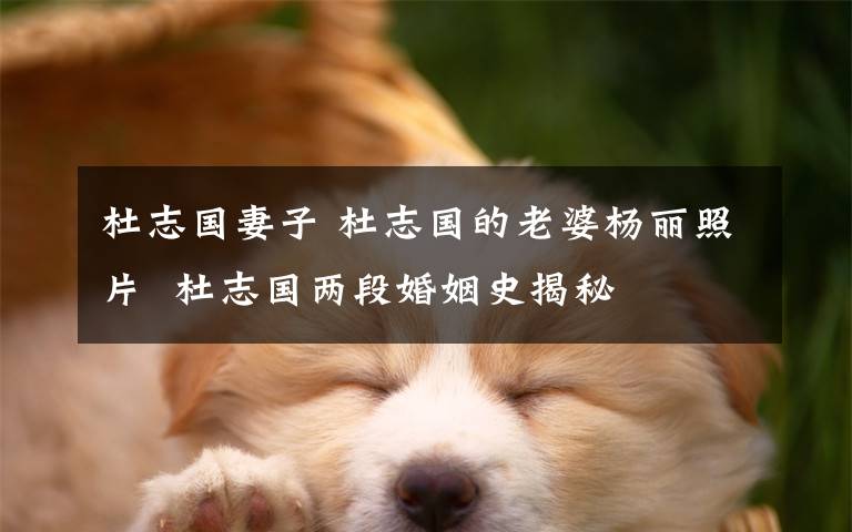 杜志国妻子 杜志国的老婆杨丽照片  杜志国两段婚姻史揭秘