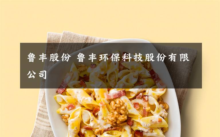 鲁丰股份 鲁丰环保科技股份有限公司