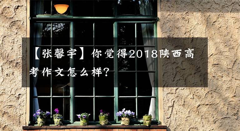 【张馨宇】你觉得2018陕西高考作文怎么样？