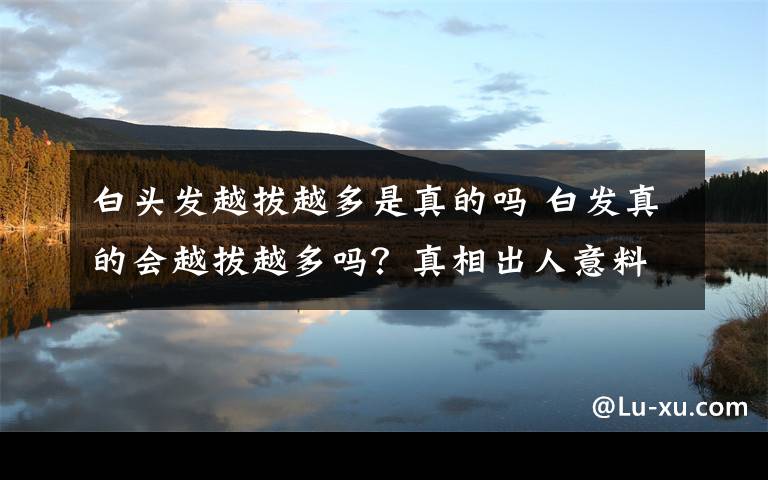 白头发越拔越多是真的吗 白发真的会越拔越多吗？真相出人意料