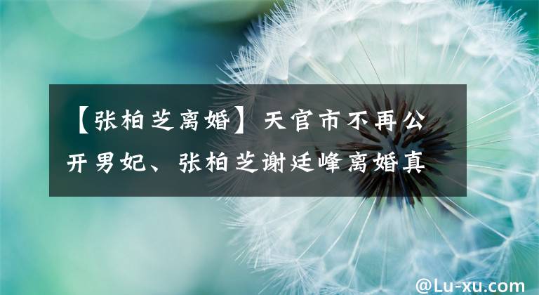 【张柏芝离婚】天官市不再公开男妃、张柏芝谢廷峰离婚真相，他真的很委屈吗？