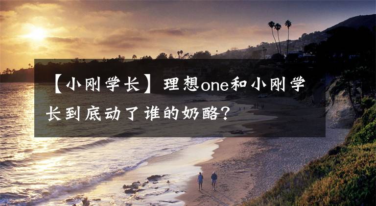 【小刚学长】理想one和小刚学长到底动了谁的奶酪？