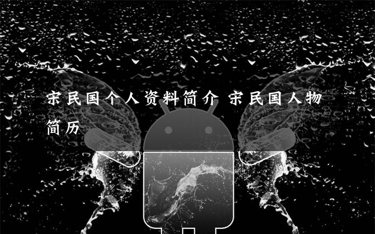 宋民国个人资料简介 宋民国人物简历