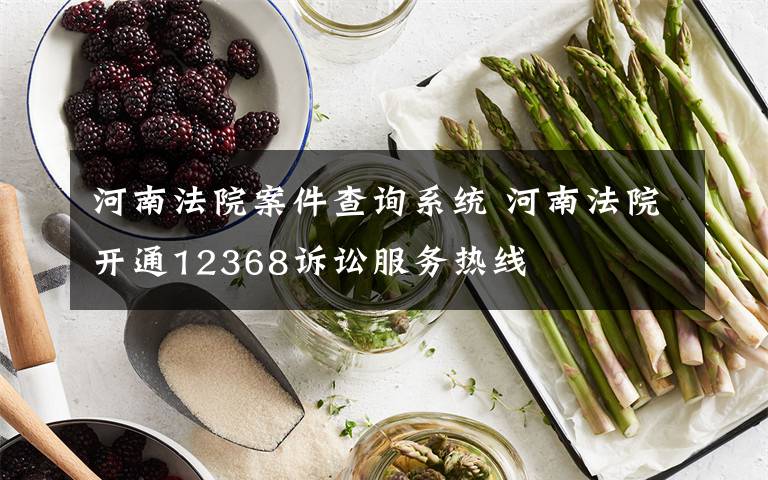 河南法院案件查询系统 河南法院开通12368诉讼服务热线