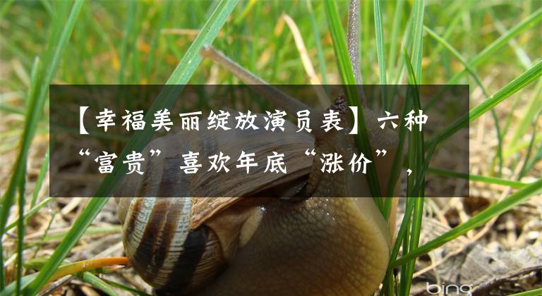 【幸福美丽绽放演员表】六种“富贵”喜欢年底“涨价”，现在开始得快，买得早就能早点便宜。
