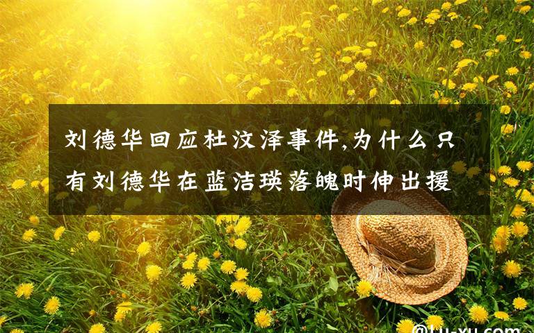 刘德华回应杜汶泽事件,为什么只有刘德华在蓝洁瑛落魄时伸出援手？