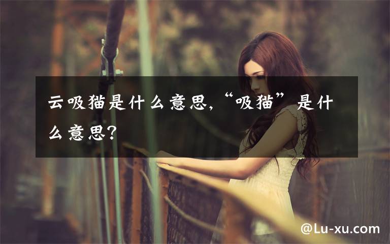 云吸猫是什么意思,“吸猫”是什么意思？