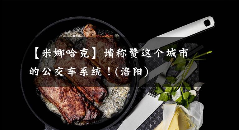 【米娜哈克】请称赞这个城市的公交车系统！(洛阳)