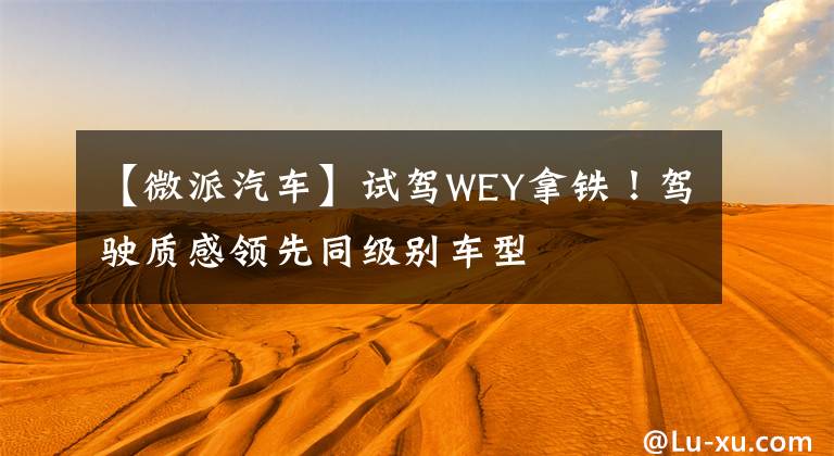 【微派汽车】试驾WEY拿铁！驾驶质感领先同级别车型