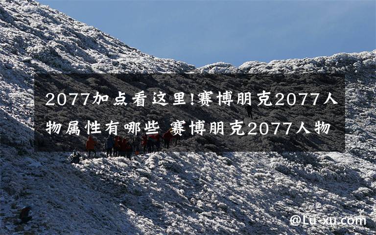 2077加点看这里!赛博朋克2077人物属性有哪些 赛博朋克2077人物属性加点作用