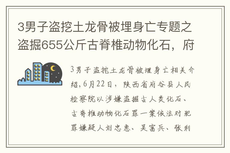 3男子盗挖土龙骨被埋身亡专题之盗掘655公斤古脊椎动物化石，府谷县检察院对刘忠惠、吴富兵、张利平批准逮捕