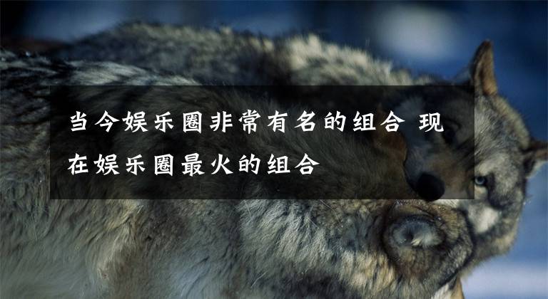 当今娱乐圈非常有名的组合 现在娱乐圈最火的组合