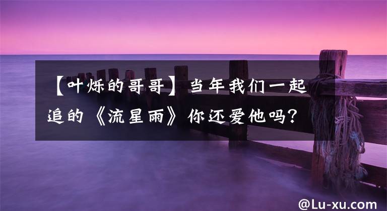 【叶烁的哥哥】当年我们一起追的《流星雨》你还爱他吗？