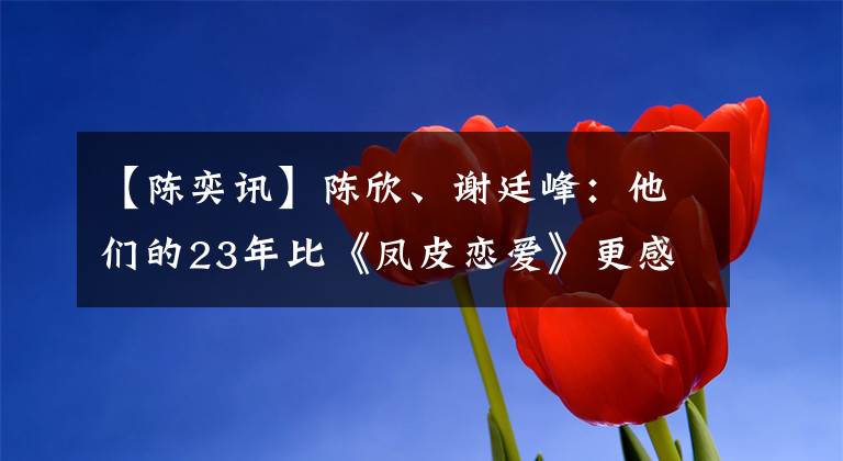 【陈奕讯】陈欣、谢廷峰：他们的23年比《凤皮恋爱》更感人。