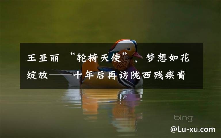 王亚丽 “轮椅天使”，梦想如花绽放——十年后再访陇西残疾青年王亚丽