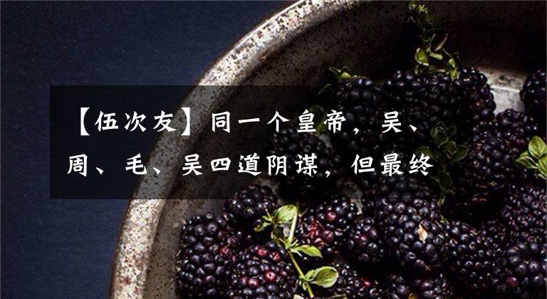 【伍次友】同一个皇帝，吴、周、毛、吴四道阴谋，但最终可以走同一条路