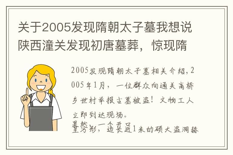 关于2005发现隋朝太子墓我想说陕西潼关发现初唐墓葬，惊现隋代陶俑？莫非是专家判断失误了？