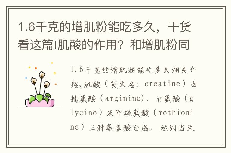 1.6千克的增肌粉能吃多久，干货看这篇!肌酸的作用？和增肌粉同时吃的话，具体怎么吃？