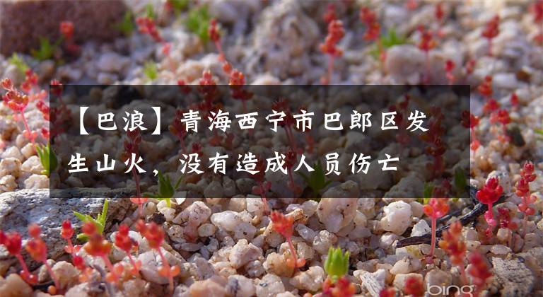 【巴浪】青海西宁市巴郎区发生山火，没有造成人员伤亡