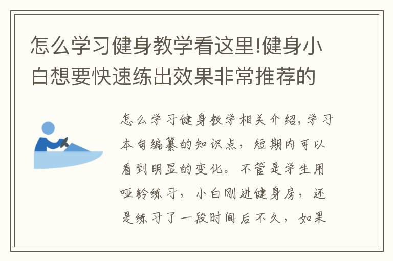 怎么学习健身教学看这里!健身小白想要快速练出效果非常推荐的几个动作