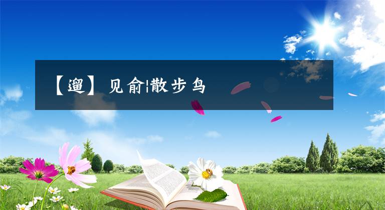 【遛】见俞|散步鸟