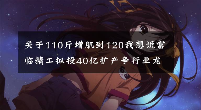 关于110斤增肌到120我想说富临精工拟投40亿扩产争行业龙头 三月内市值飙升1.6倍增近120亿