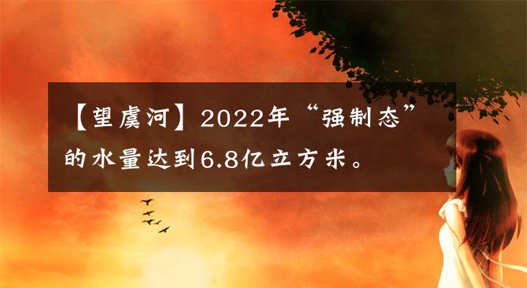 【望虞河】2022年“强制态”的水量达到6.8亿立方米。