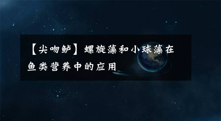 【尖吻鲈】螺旋藻和小球藻在鱼类营养中的应用