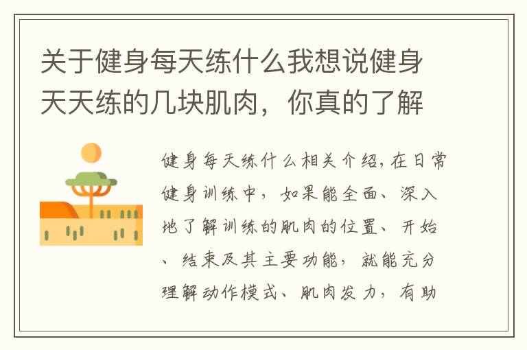 关于健身每天练什么我想说健身天天练的几块肌肉，你真的了解？