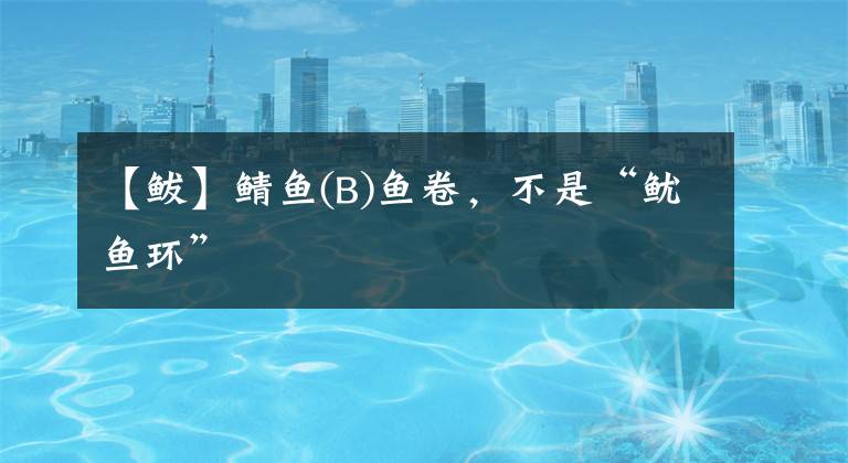 【鲅】鲭鱼(B)鱼卷，不是“鱿鱼环”