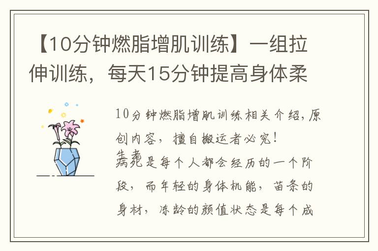 【10分钟燃脂增肌训练】一组拉伸训练，每天15分钟提高身体柔软度，远离亚健康疾病