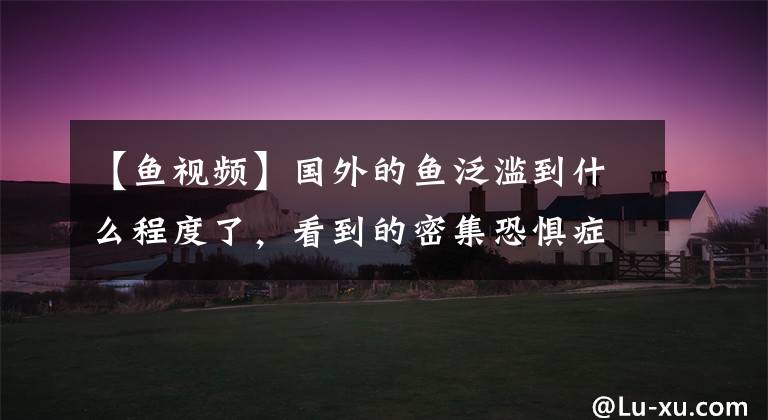 【鱼视频】国外的鱼泛滥到什么程度了，看到的密集恐惧症犯了。