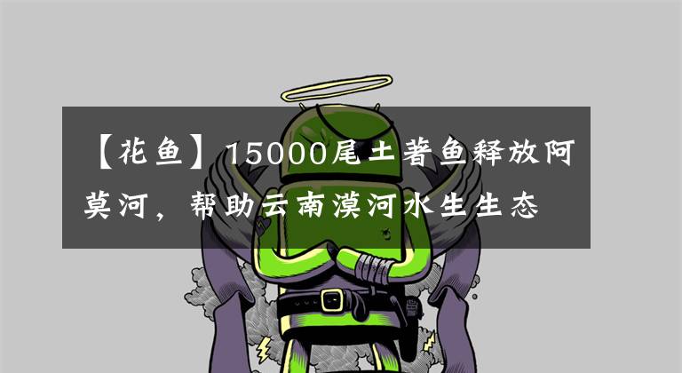 【花鱼】15000尾土著鱼释放阿莫河，帮助云南漠河水生生态恢复。