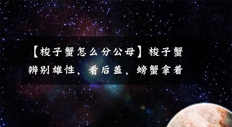 【梭子蟹怎么分公母】梭子蟹辨别雄性，看后盖，螃蟹拿着昌毛蟹拿着盾，很容易记住。