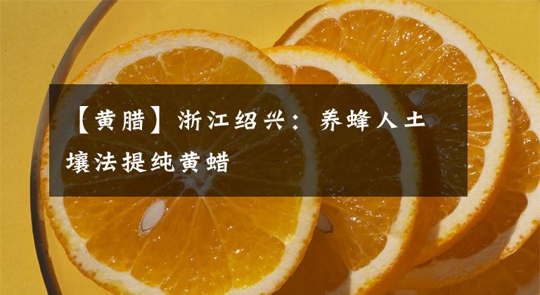 【黄腊】浙江绍兴：养蜂人土壤法提纯黄蜡