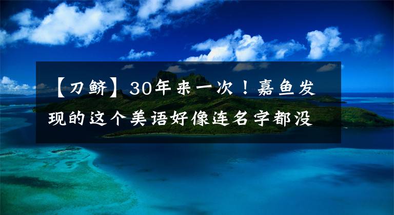 【刀鲚】30年来一次！嘉鱼发现的这个美语好像连名字都没听过。