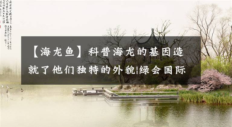 【海龙鱼】科普海龙的基因造就了他们独特的外貌|绿会国际新闻。(莎士比亚，科普，科学，科学，科学，科学，科学，科学)